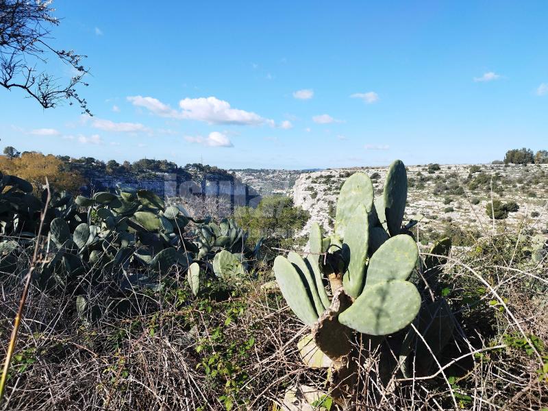 Terreno panoramico con progetto 0