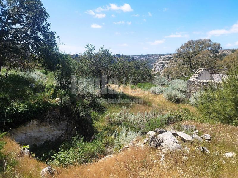 Terreno panoramico con progetto 7
