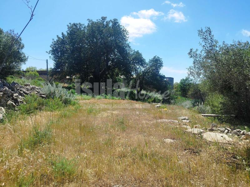 Terreno panoramico con progetto 9