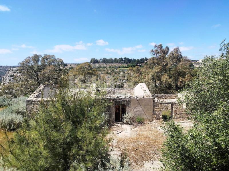 Terreno panoramico con progetto 10