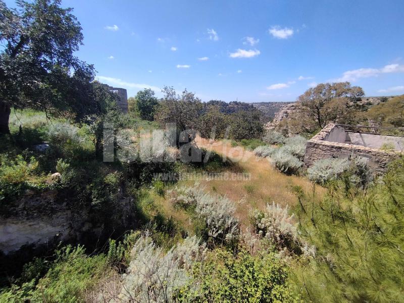 Terreno panoramico con progetto 12