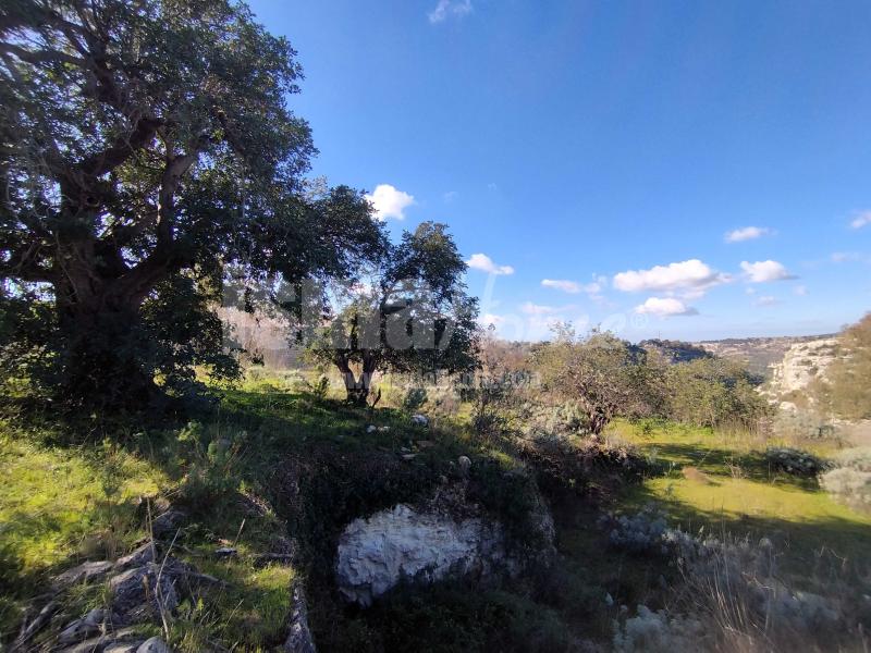 Terreno panoramico con progetto 1