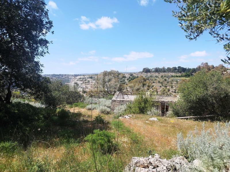 Terreno panoramico con progetto 5